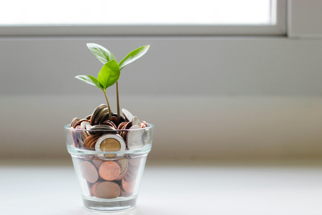 Grow your money